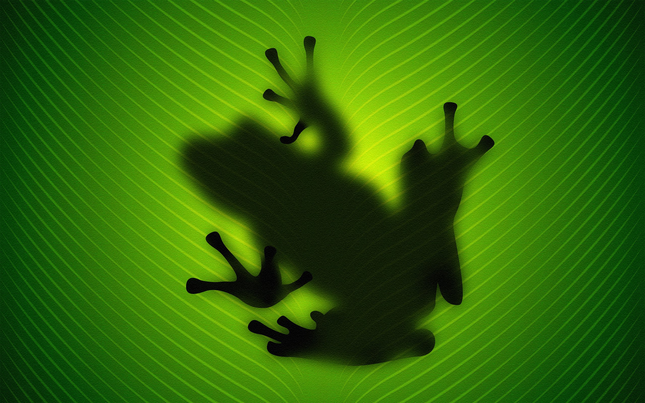 Frog 4K wallpaper for your desktop or mobile screen free and easy to download
