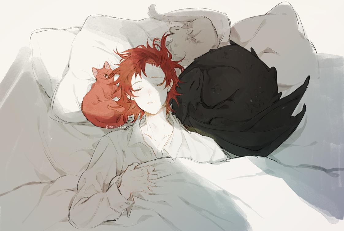 Request Count fanarts?. Novel Updates Forum