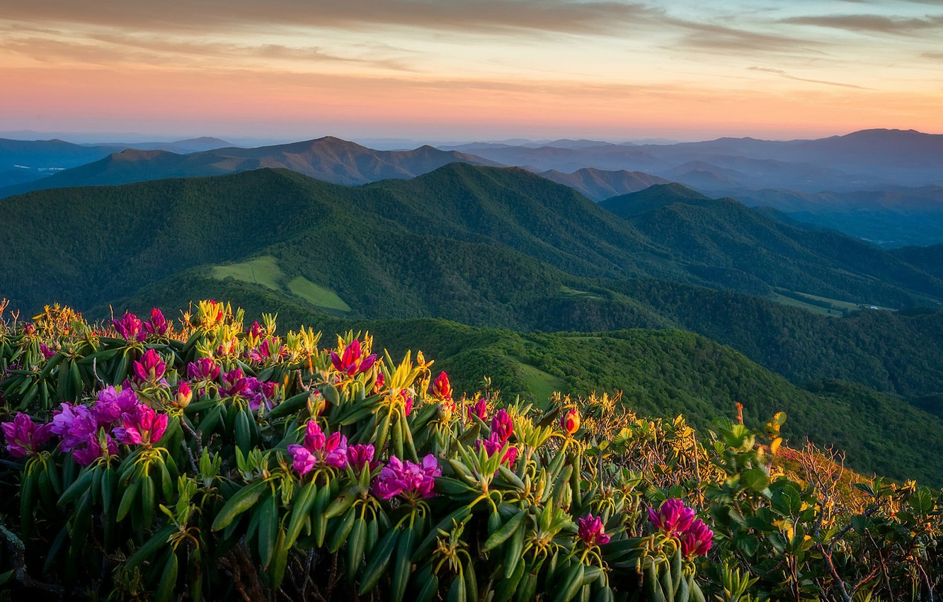 Perhaps the best 125 Appalachian Mountains Landscape
