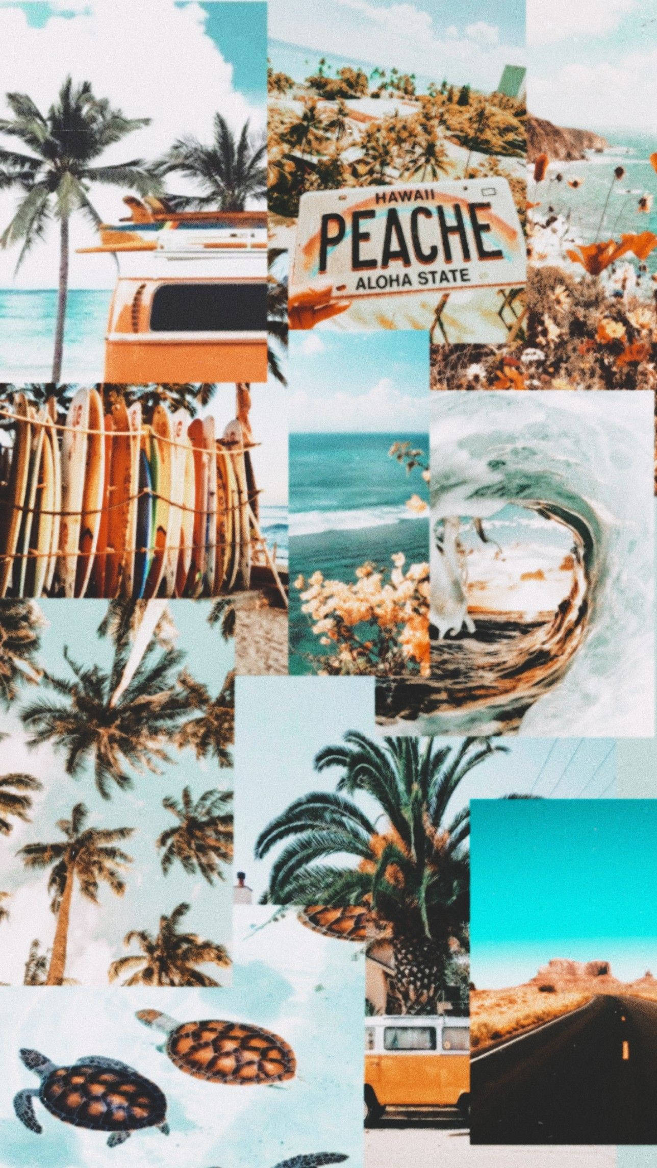 Download Good Vibes Only Summer Aesthetic Vibes Wallpaper