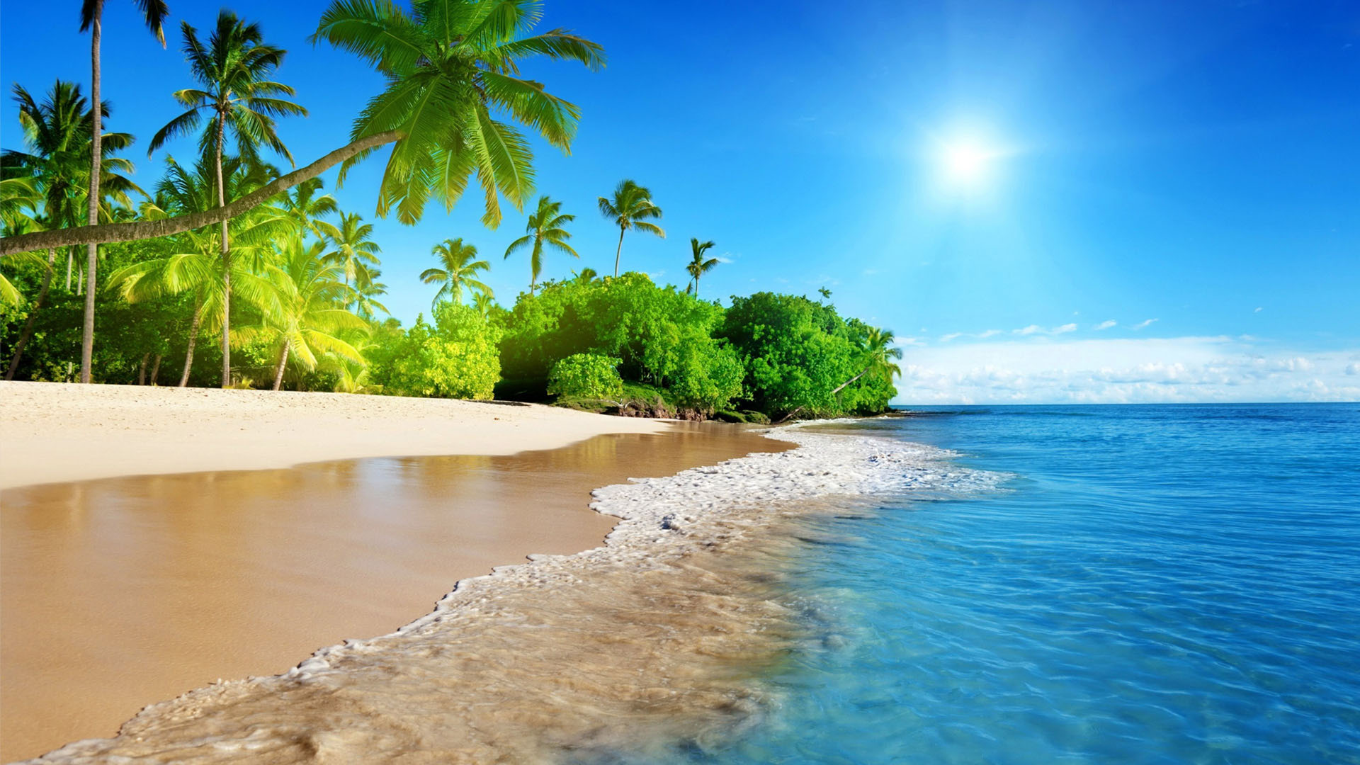 Hawaii Beach Picture Wallpaper, Hawaii Beach Background