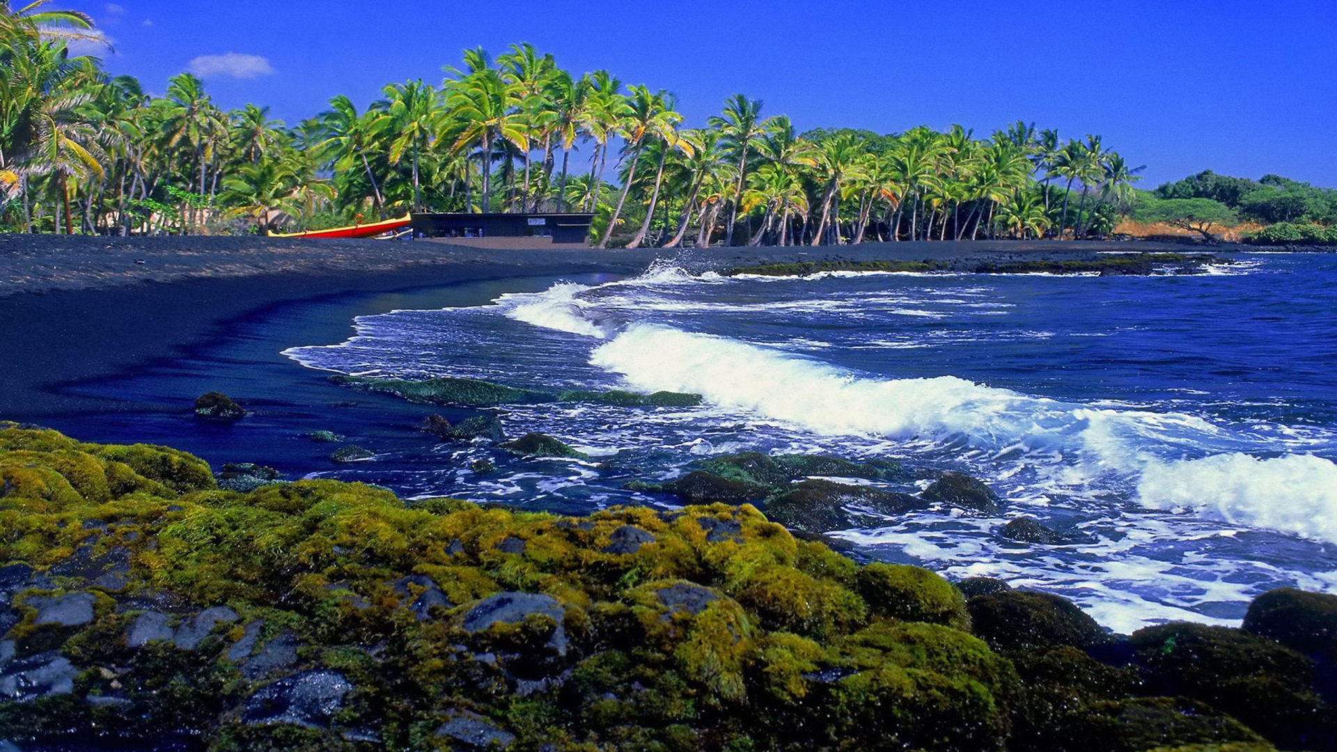 Hawaii Blue Waves Black Beach Palm Tree Wallpaper HD