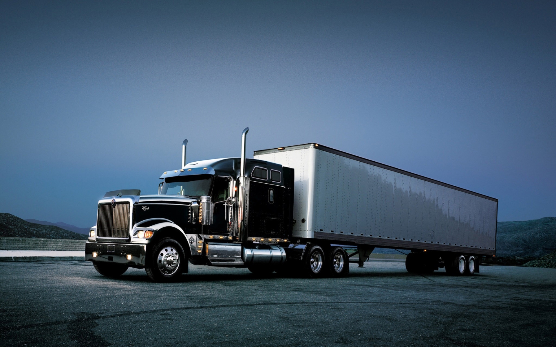 International Eagle HD Wallpaper and Background