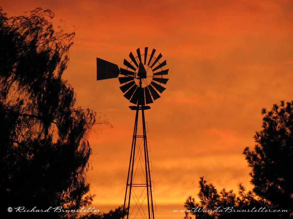 Free Amish Life Photography Desktop Background