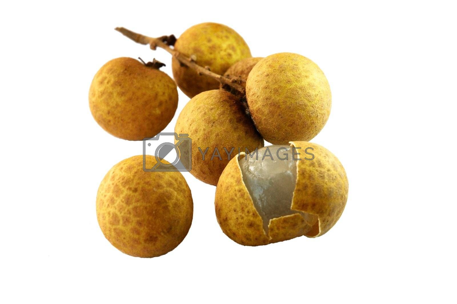 Longan Wallpapers - Wallpaper Cave