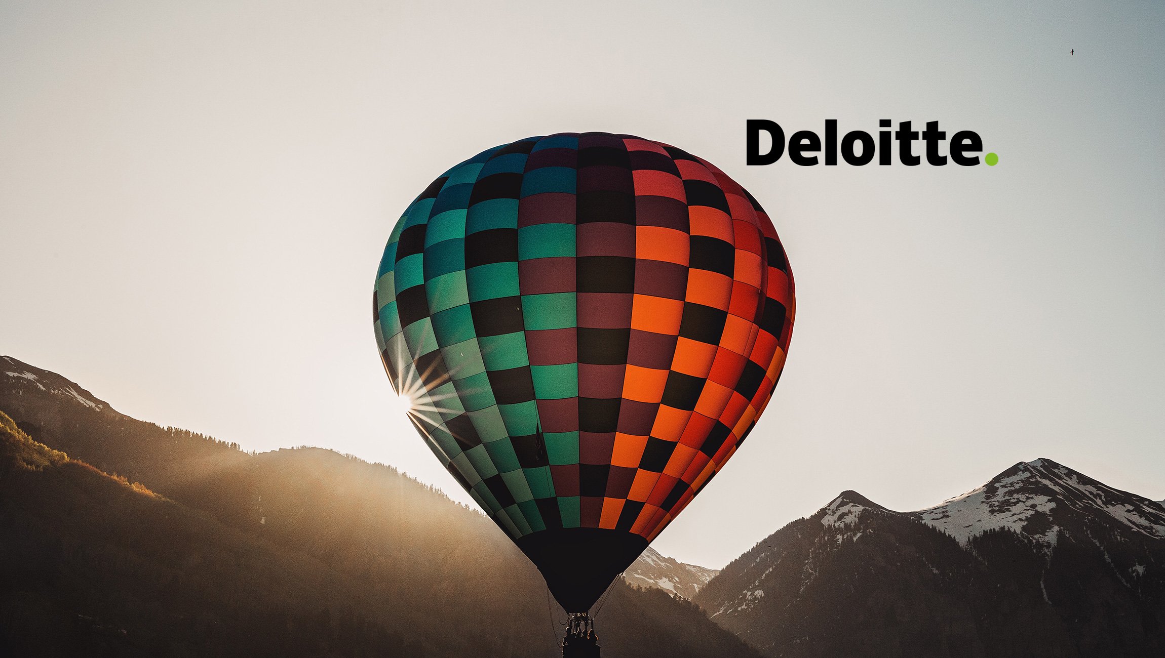 What is Deloitte's New Public Data Visualization Tool All About?