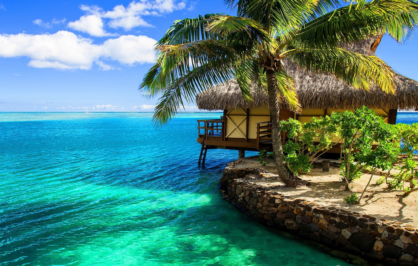 Wallpaper tropics, Palma, the ocean, exotic, beach, Bungalow, bungalow resort image for desktop, section пейзажи