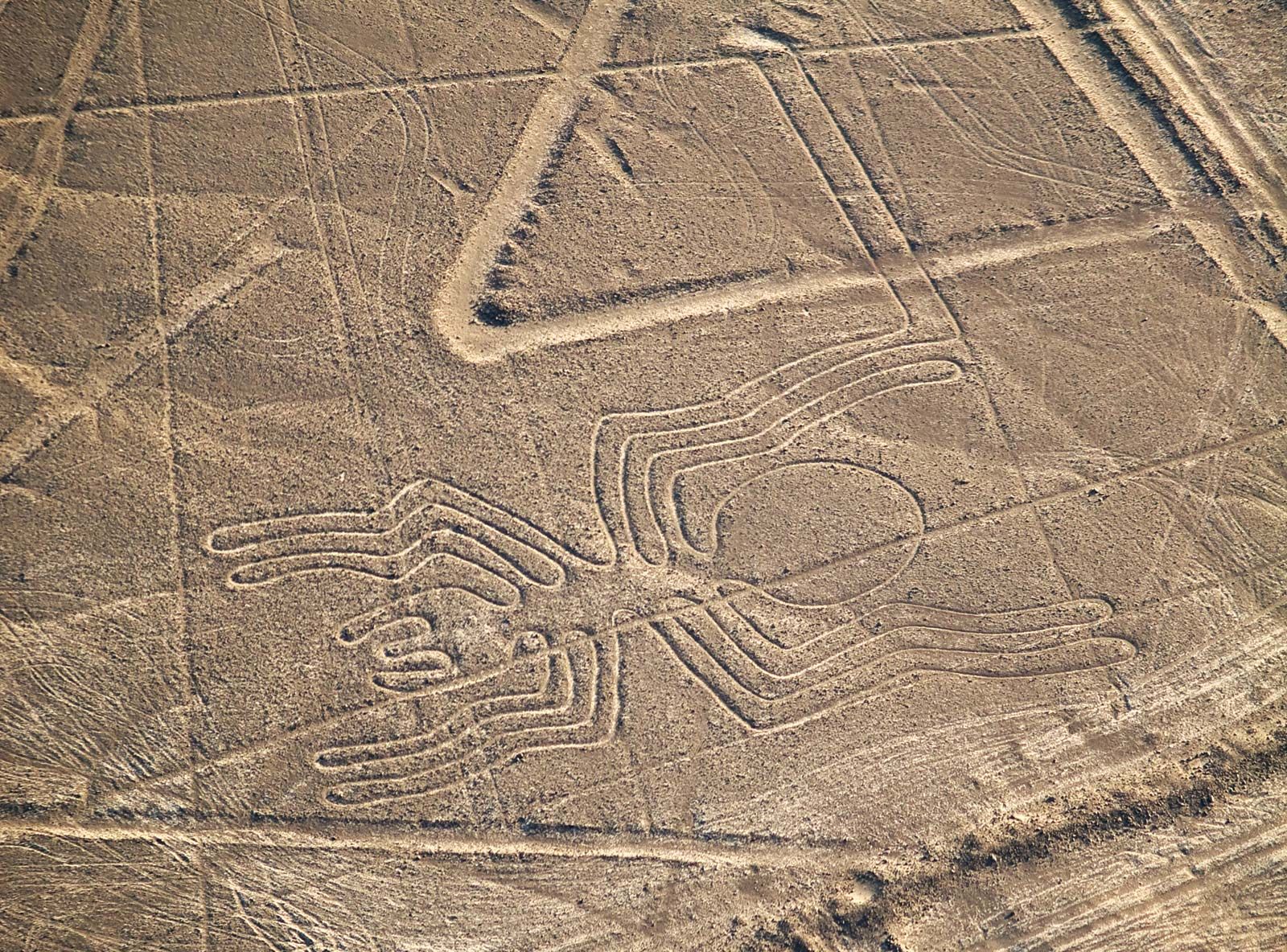 Nazca Lines. History, Location, Lima, Spider, & Facts