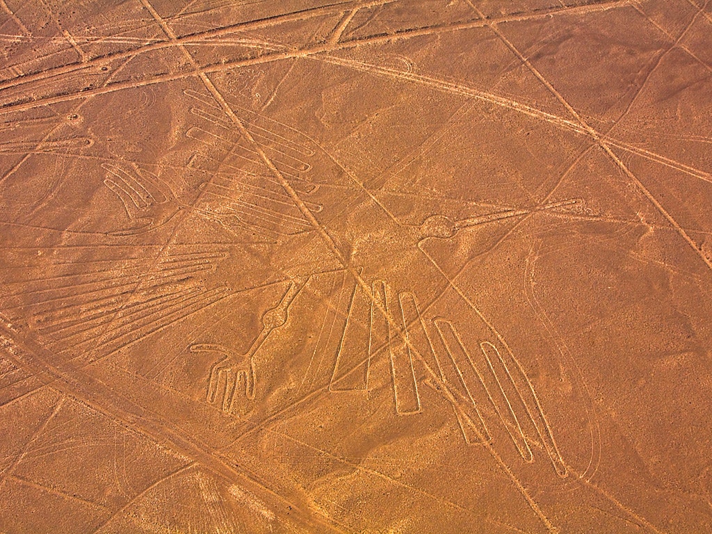 Visit the Nazca Lines Before the Pigs Destroy Them, Ken Jennings Says. Condé Nast Traveler