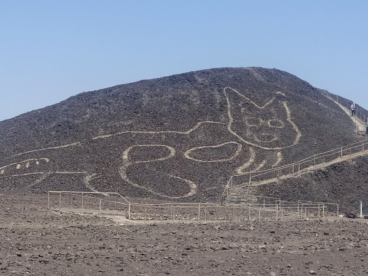 Huge cat found etched into desert among Nazca Lines in Peru