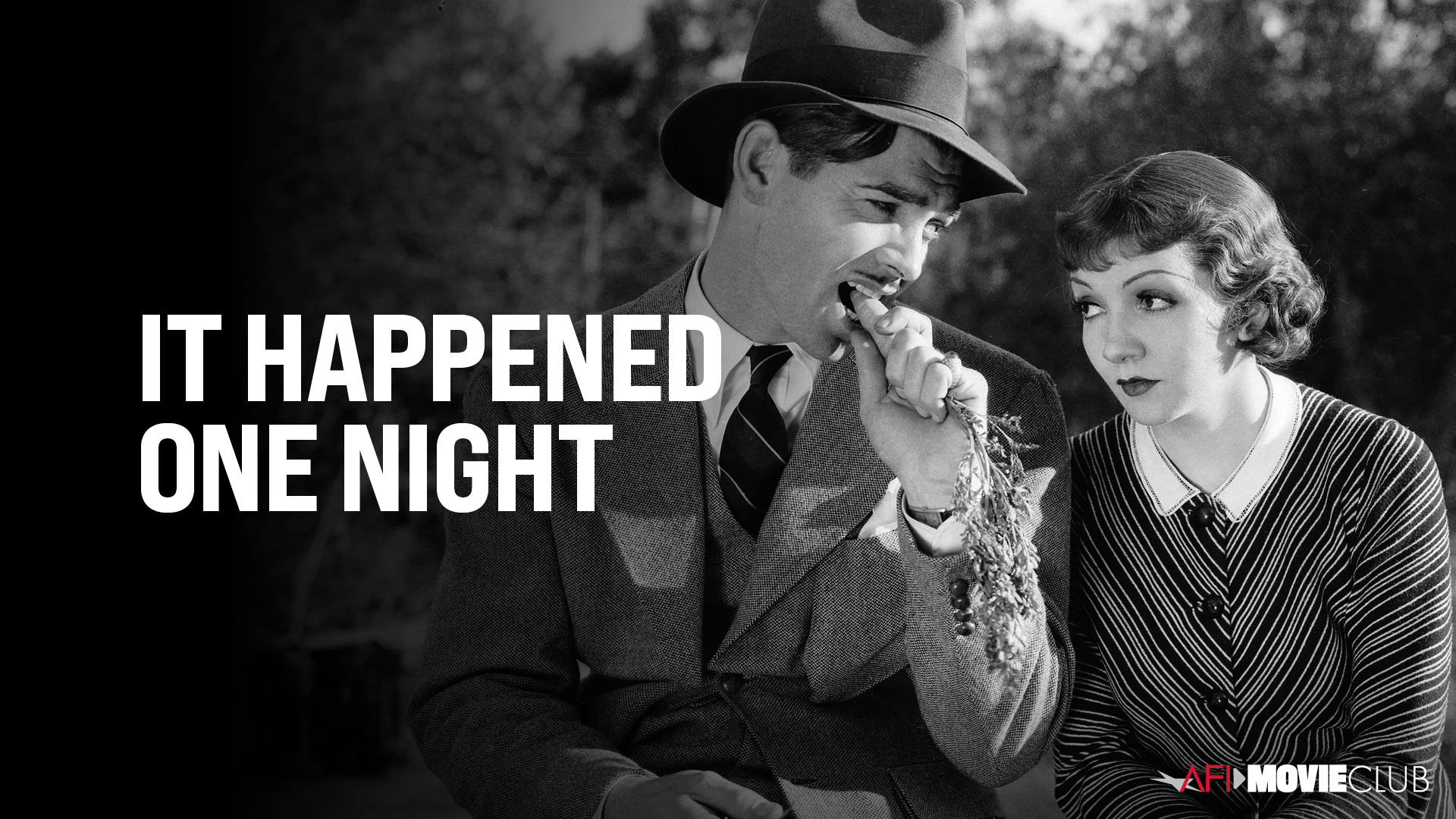 IT HAPPENED ONE NIGHT (1934)