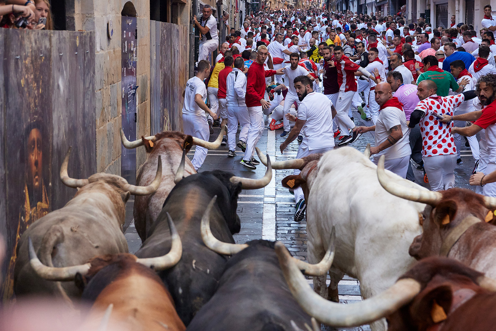 Six injured as bull run returns to Spain's Pamplona