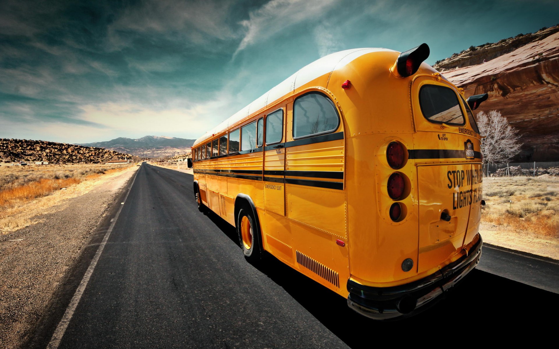 Bus HD Wallpaper