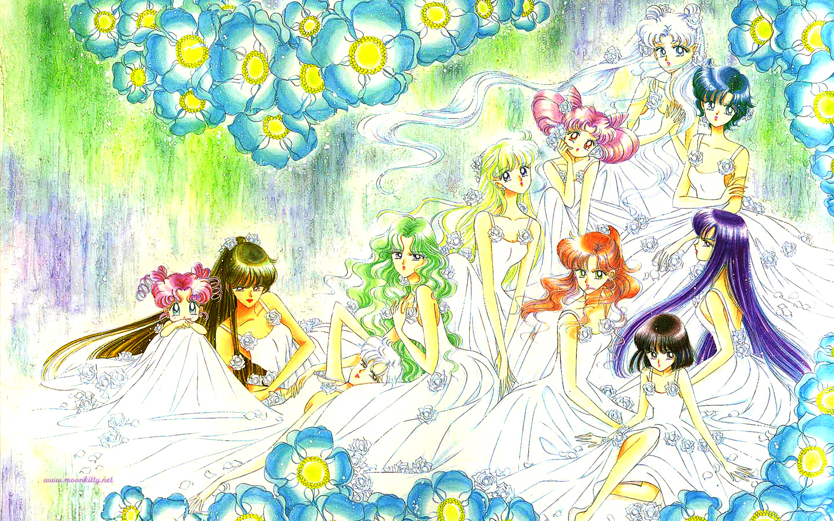 Pretty in White (Widescreen) Senshi Wallpaper