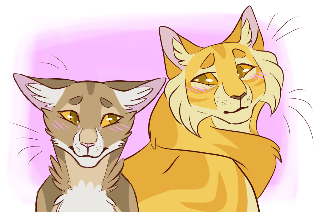 Leafpool and Mothwing. Warrior cats, Warrior cats art, Warrior cats fan art