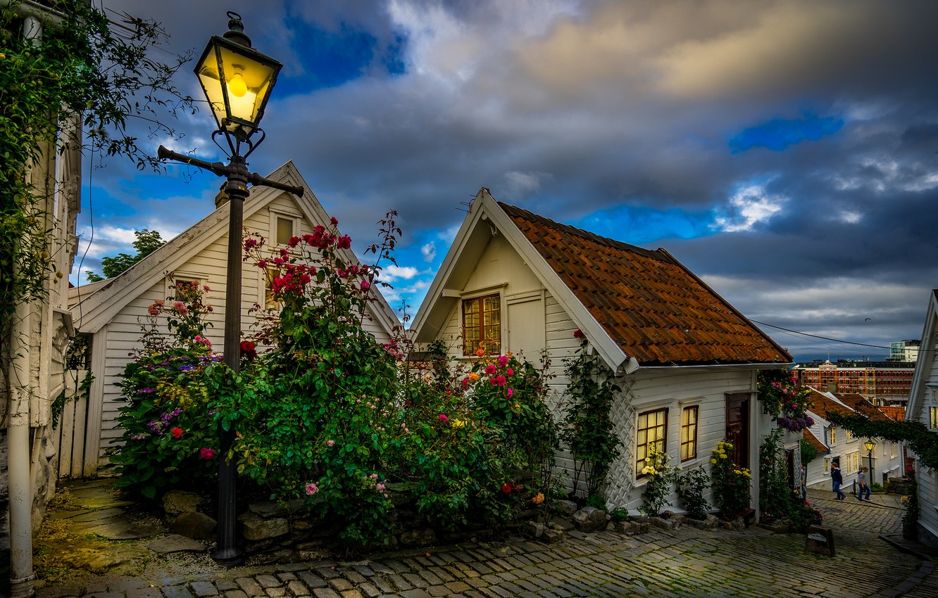 Wallpaper flowers, the city, street, home, the evening, lighting, Norway, lights, bridge, Stavanger, municipality, plantings image for desktop, section город