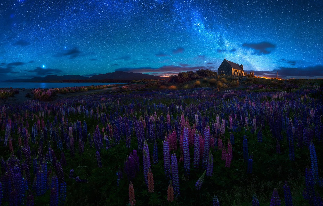 Wallpaper summer, the sky, flowers, night, spring, New Zealand, Church, temple, the milky way, lupins image for desktop, section пейзажи