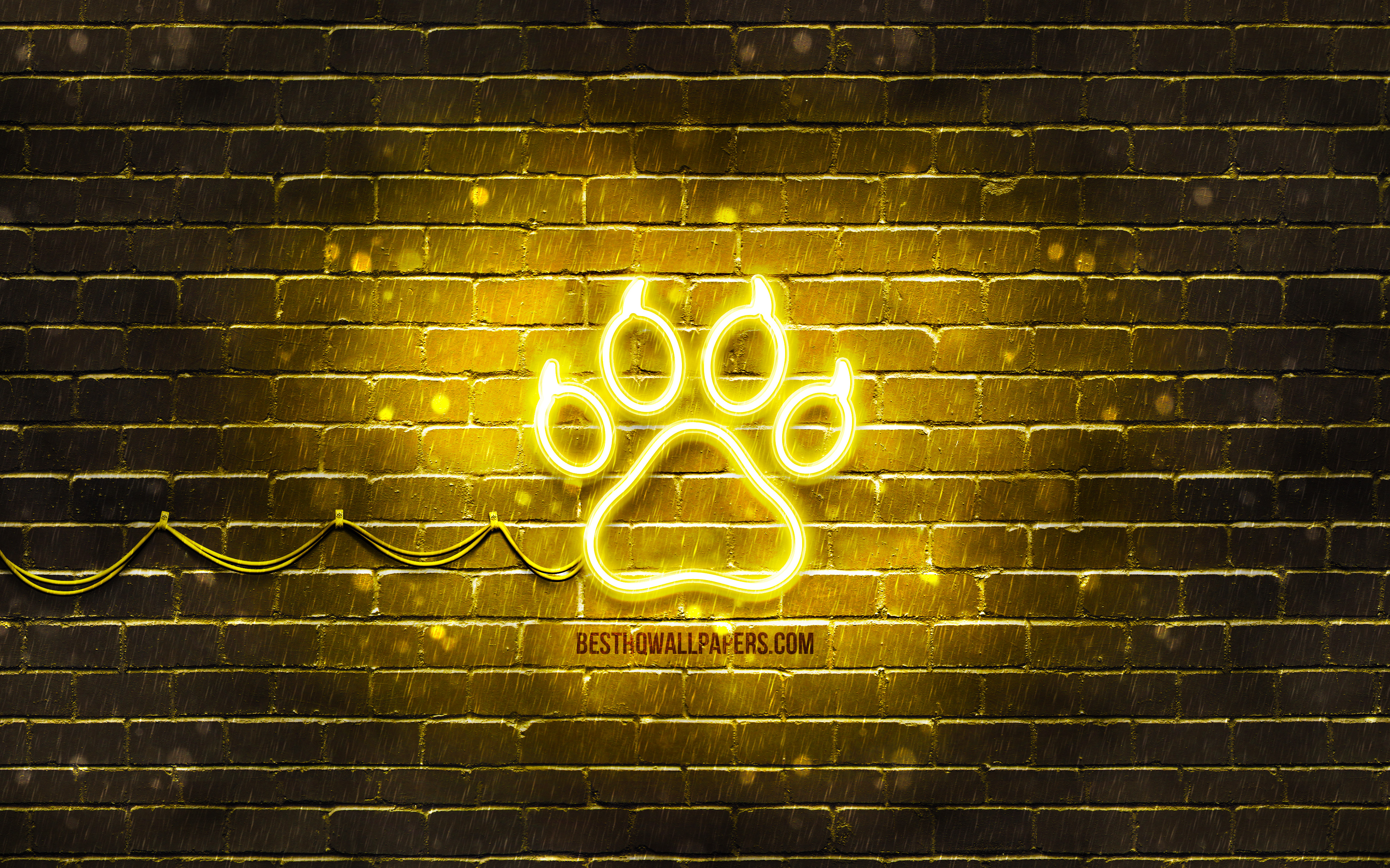 Download wallpaper Cat paw neon icon, 4k, yellow background, neon symbols, Cat paw, creative, neon icons, Cat paw sign, animals signs, Cat paw icon, animals icons for desktop with resolution 3840x2400. High