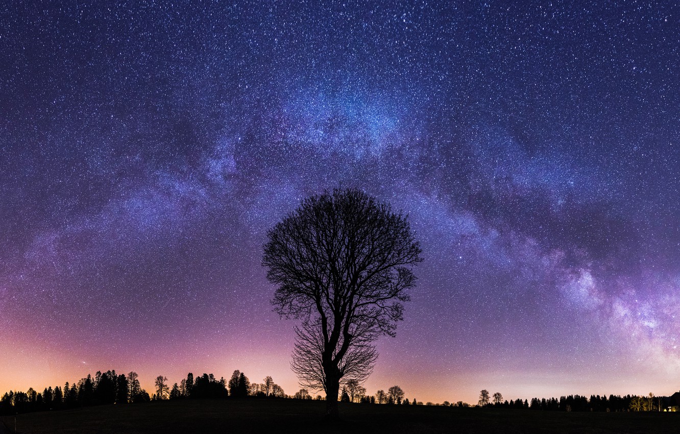 Wallpaper autumn, the sky, stars, night, branches, tree, silhouette, The milky way, alone, starry sky, the night sky image for desktop, section пейзажи