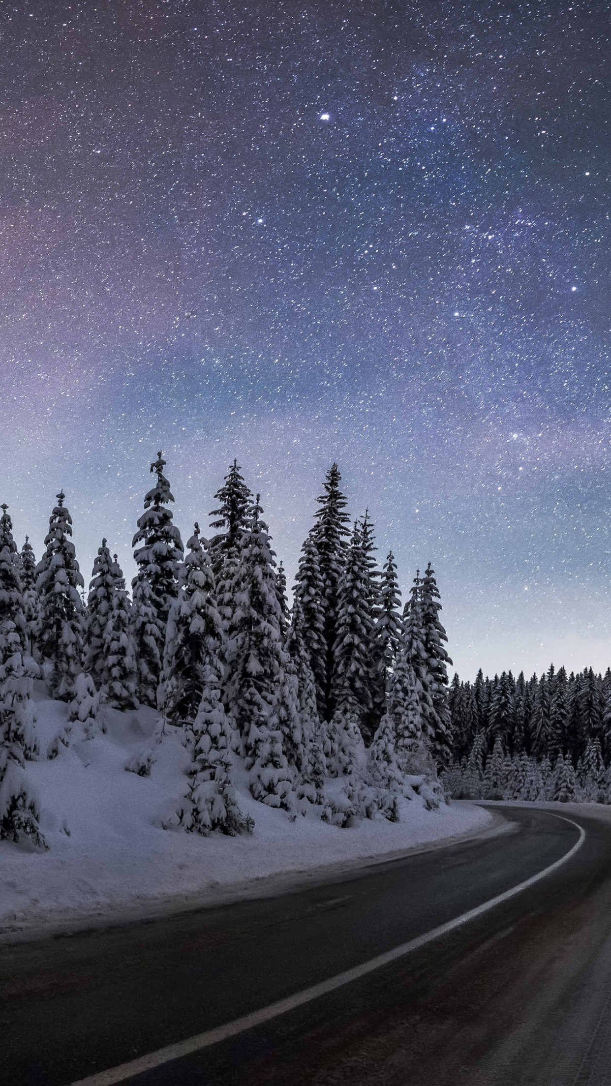Download wallpaper: Winter night at Pokljuka forest 1242x2208