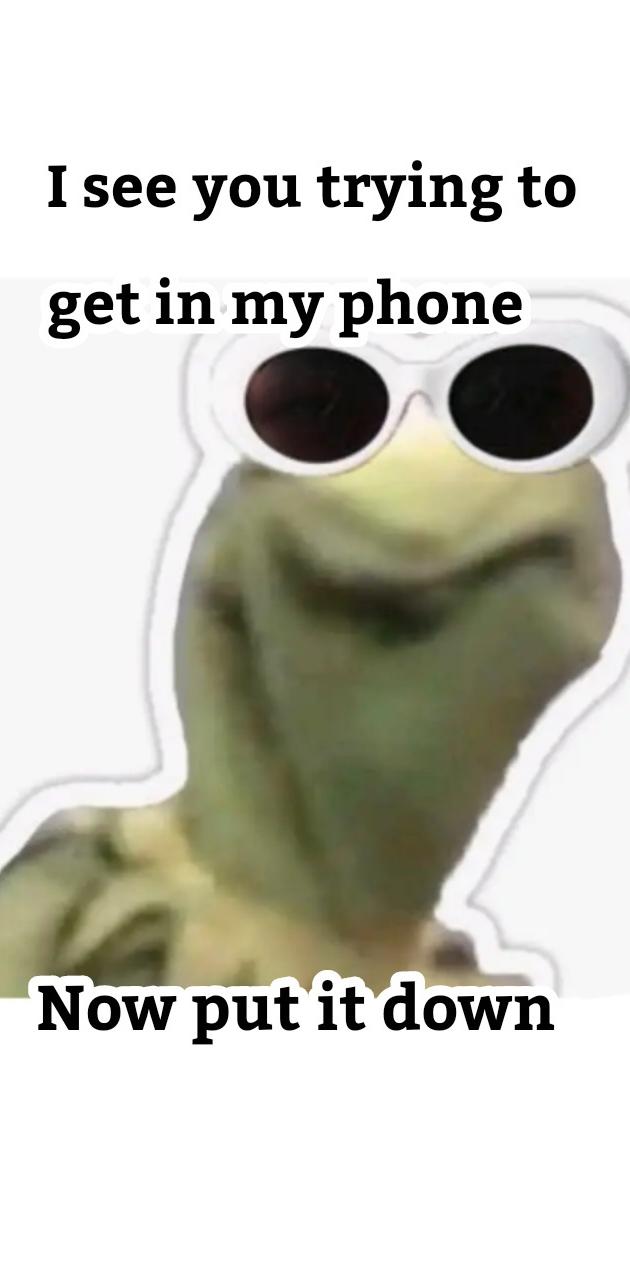 Kermit meme wallpaper