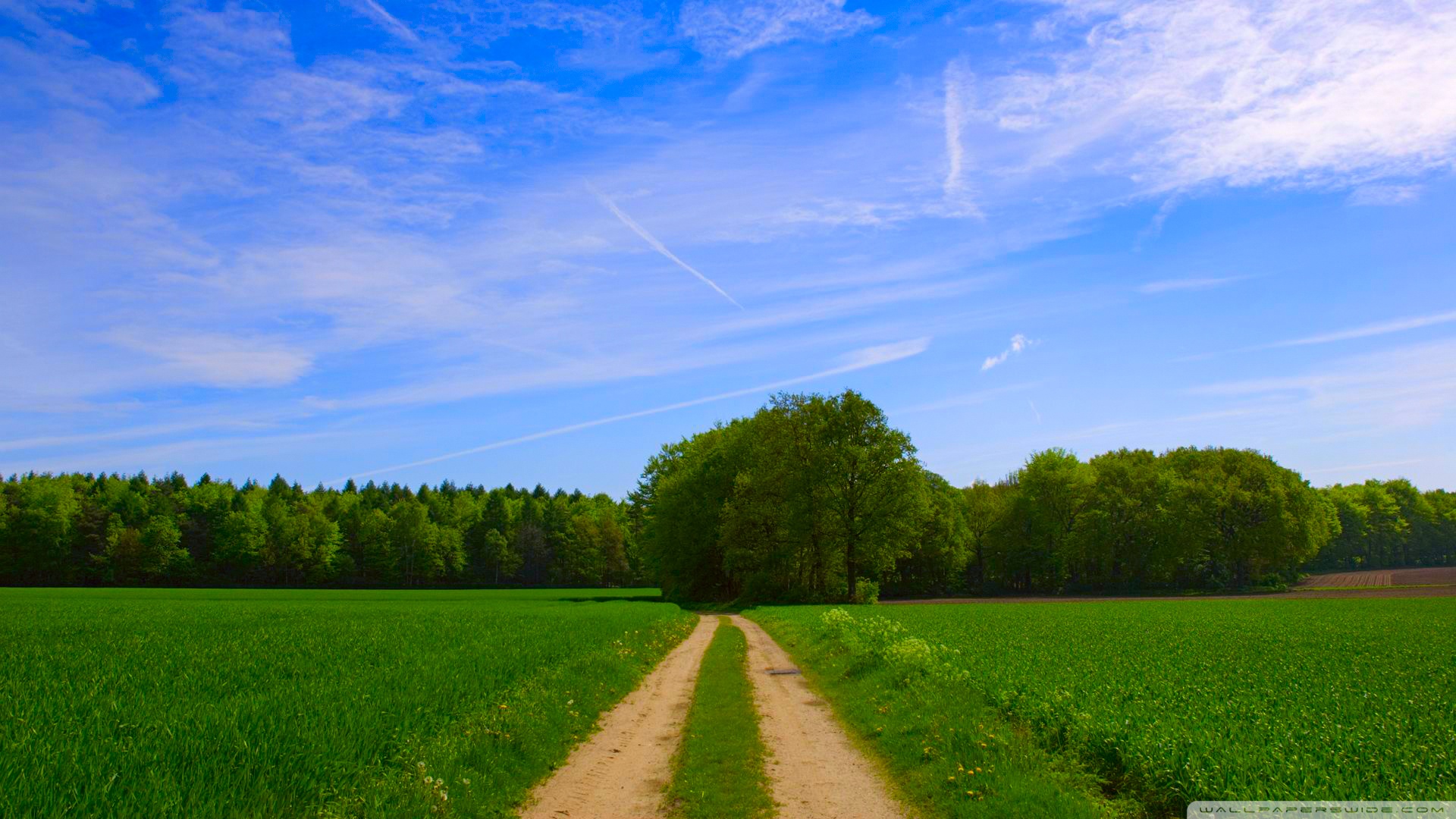 Summer Wallpaper Scenes