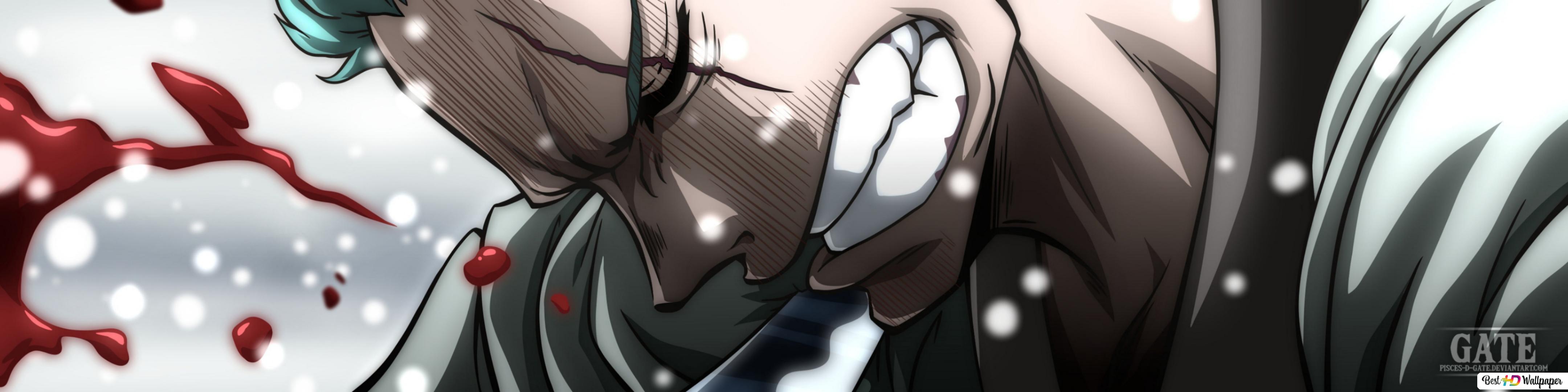Zoro's Wound HD wallpaper download