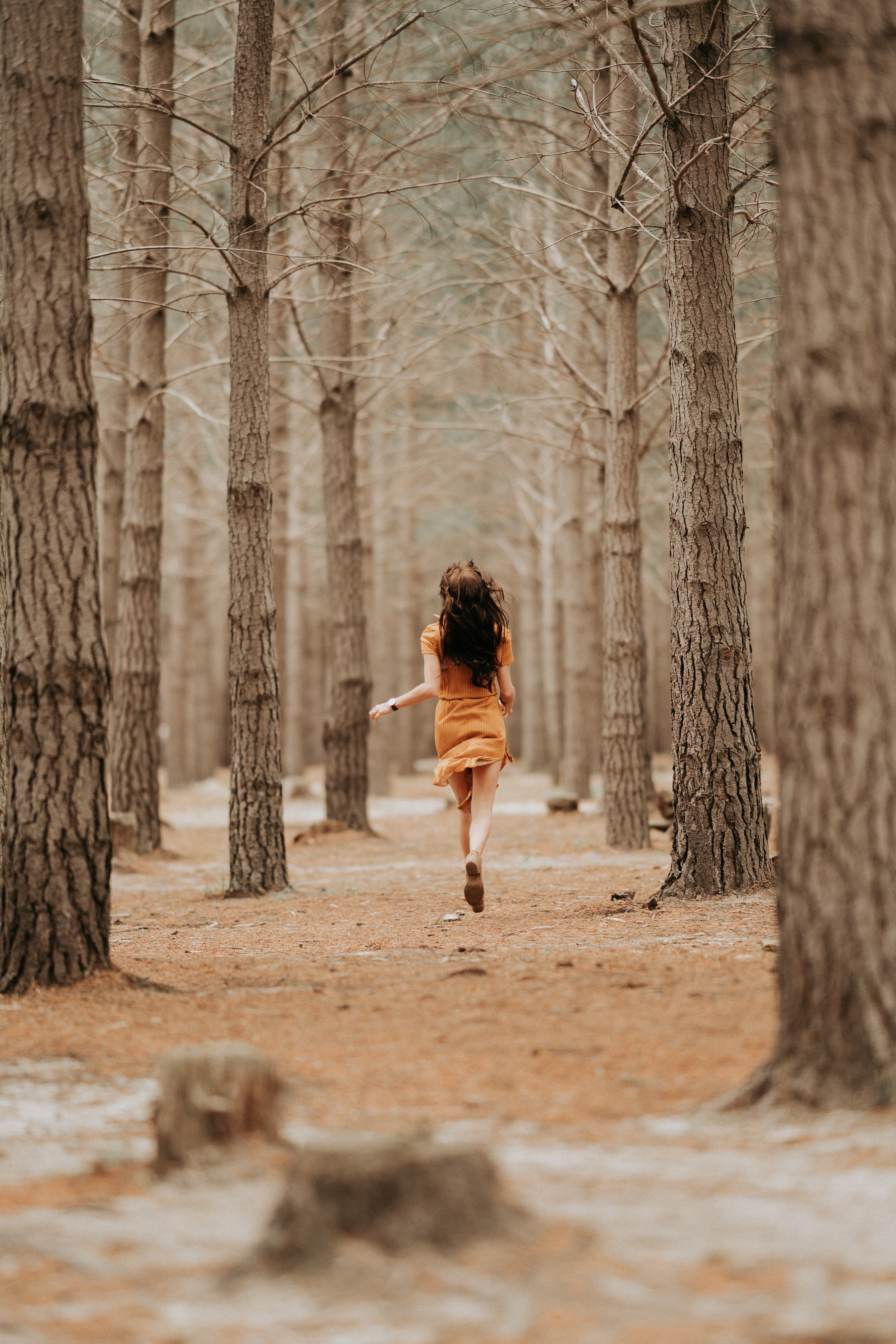 Rear view on woman running in forest · Free