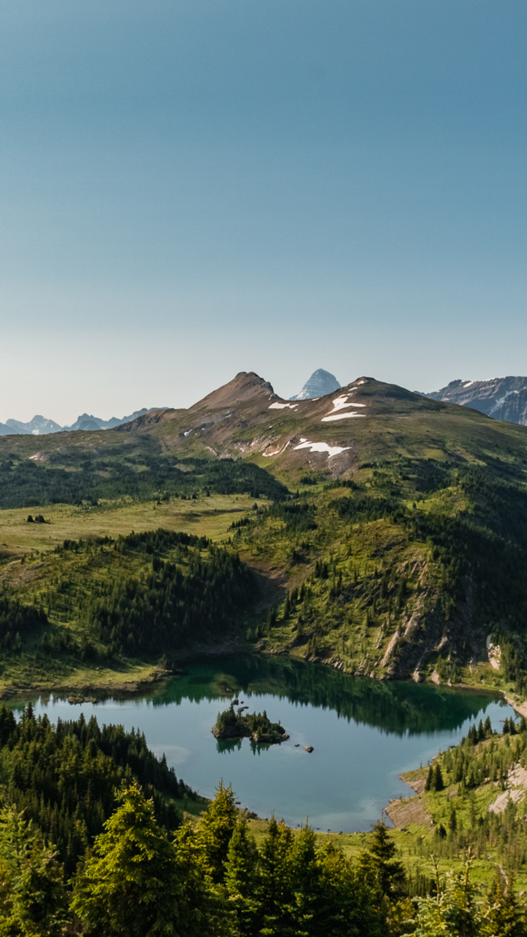 Summer Wallpaper for Your Phone