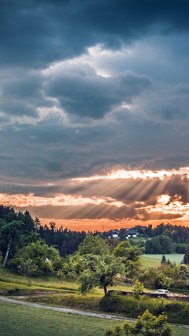 Forest Sunset Summer Mountain