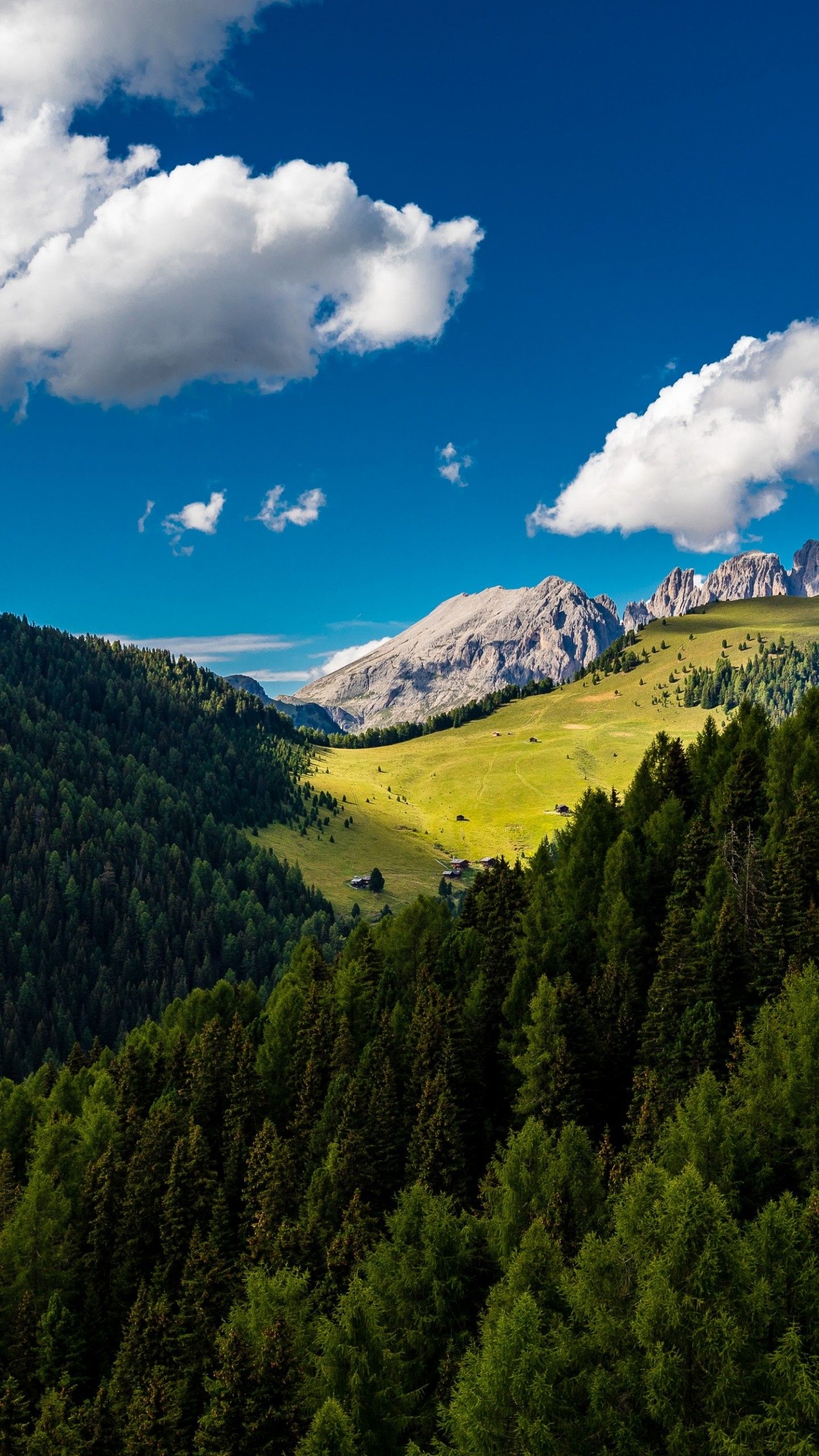 Trees Mountains Clouds Summer Wallpaper