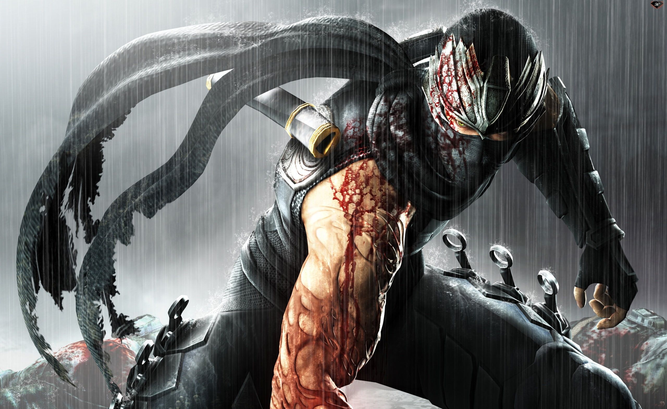 HD wallpaper: Ninja Gaiden 3, Ninja Gaiden digital wallpaper, Games, Other Games. Ninja gaiden, Ryu hayabusa, Ninja