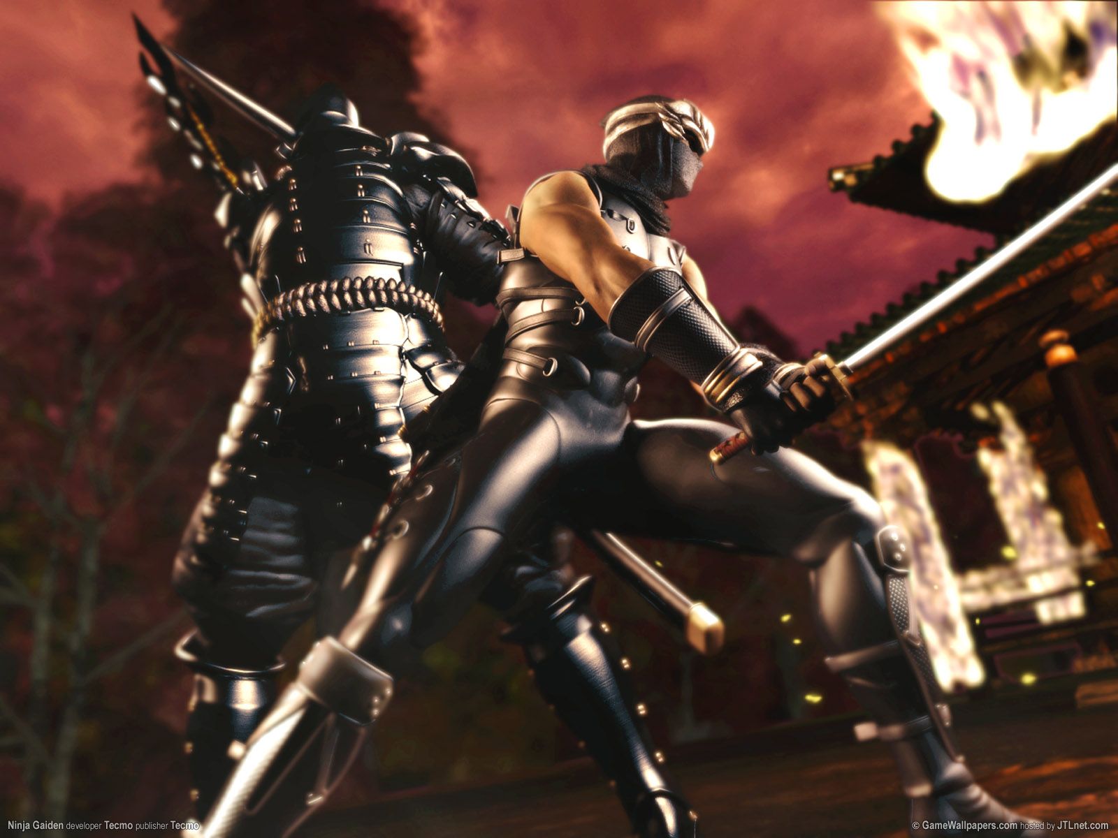 Ninja Gaiden Wallpaper