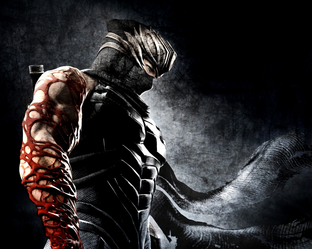 Free download Ninja Gaiden 3 Review PS3360 Gamers Xtreme [1920x1080] for your Desktop, Mobile & Tablet. Explore Ninja Wallpaper. Kawasaki Ninja Wallpaper, Ninja Wallpaper HD, Mark of the Ninja Wallpaper