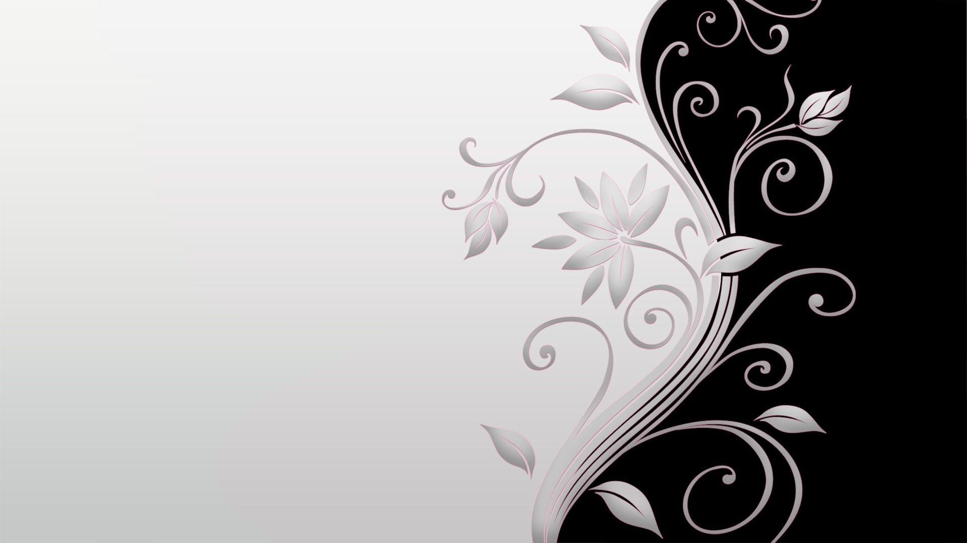 Elegant Black and White Wallpaper Free Elegant Black and White Background