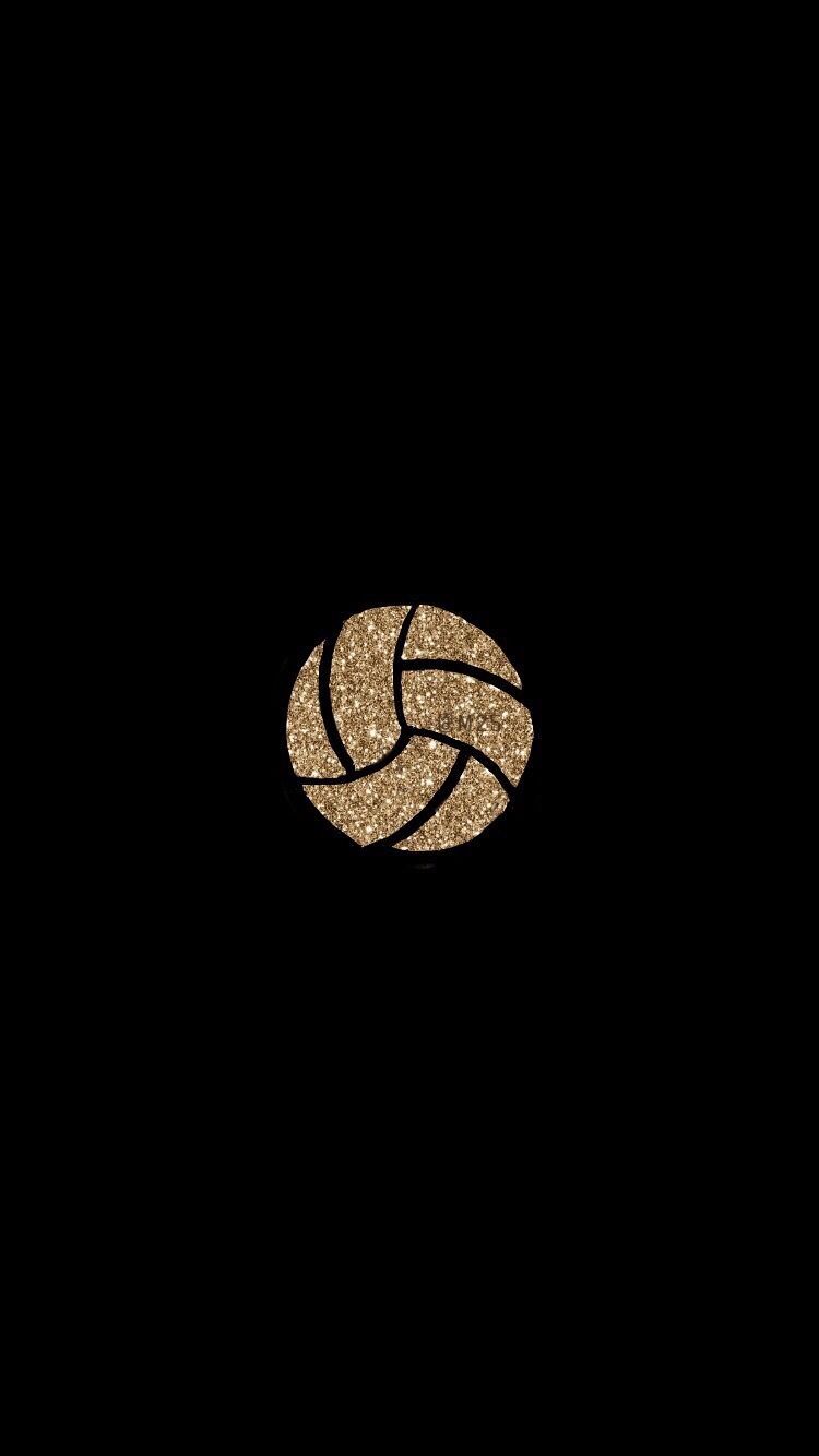 Volleyball Logo Wallpaper