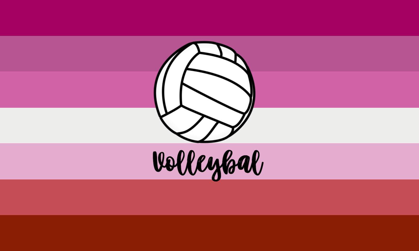 Download Volleyball With Lesbian Flag Wallpaper