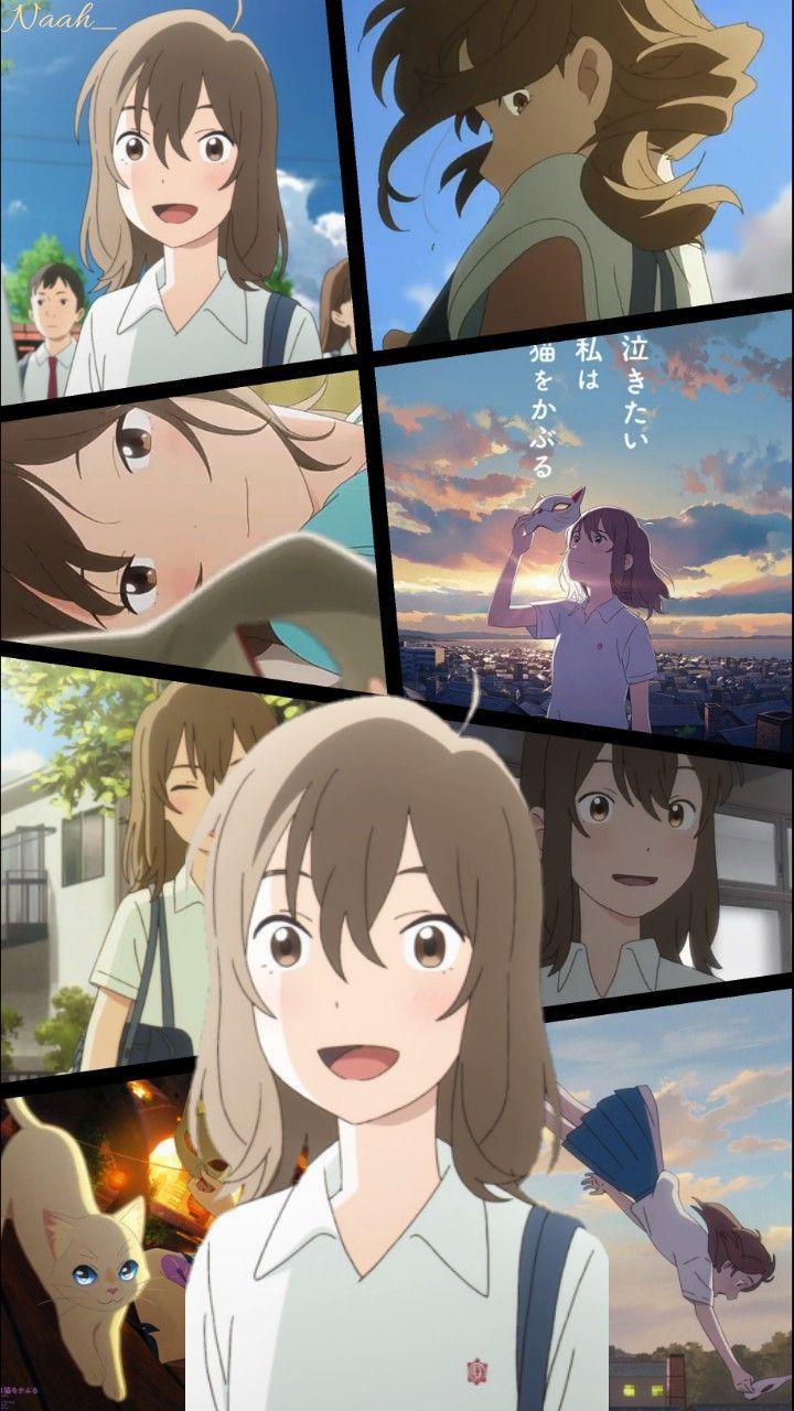 A Whisker Away Cat iPhone Wallpapers Wallpaper Cave