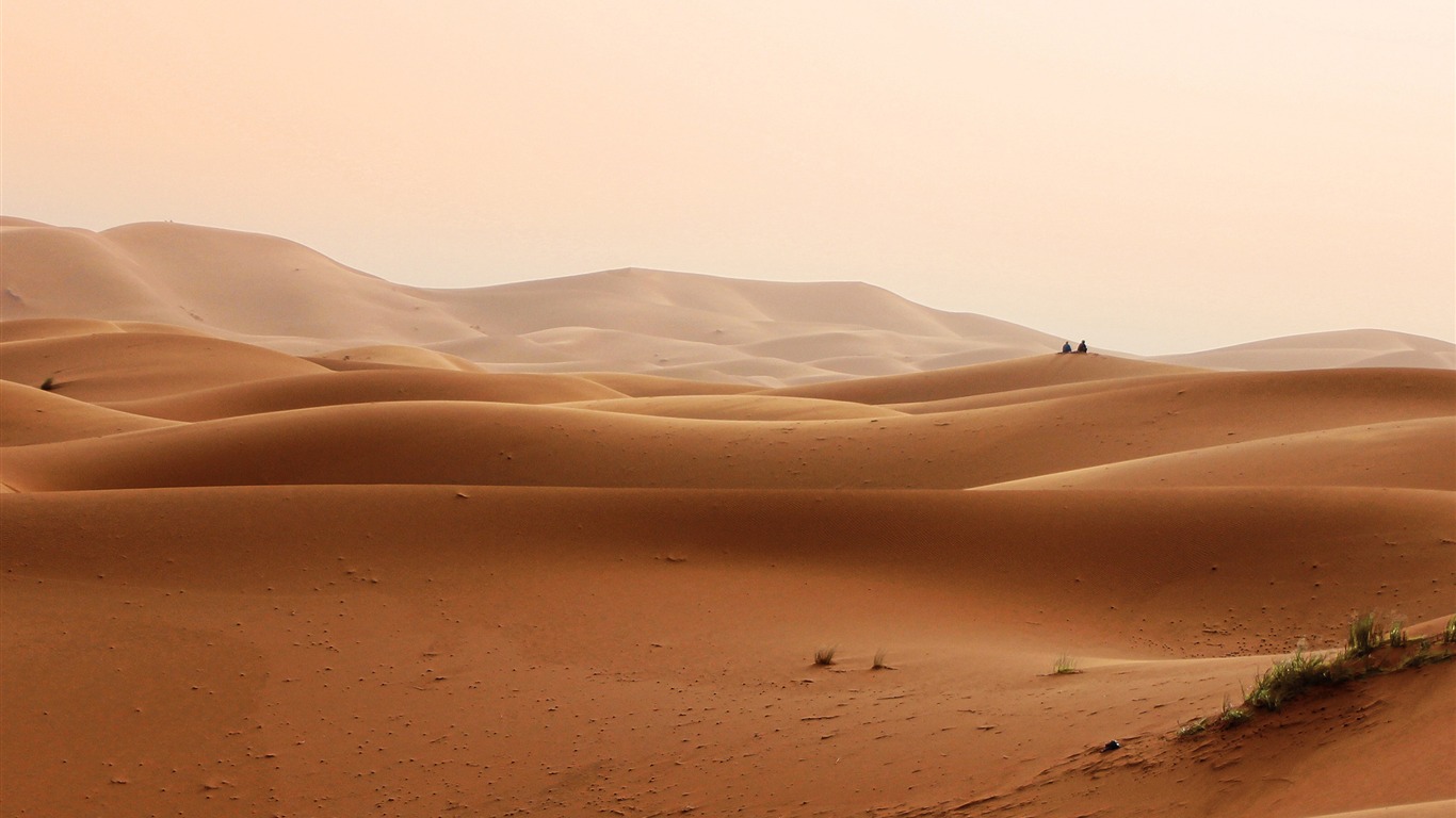 Desert sand High Quality Wallpaper