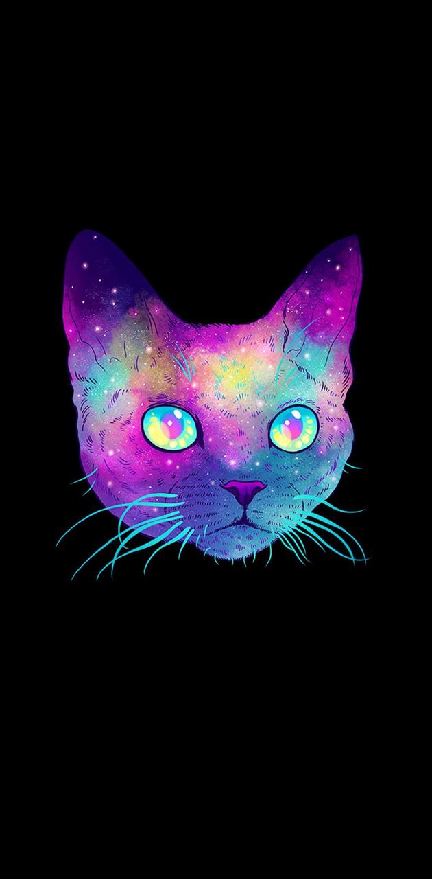 Colorful Cat wallpaper