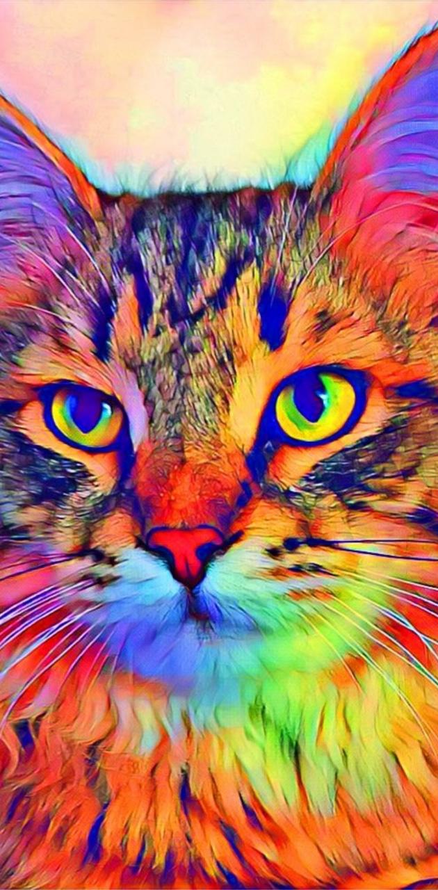 Color cat wallpaper
