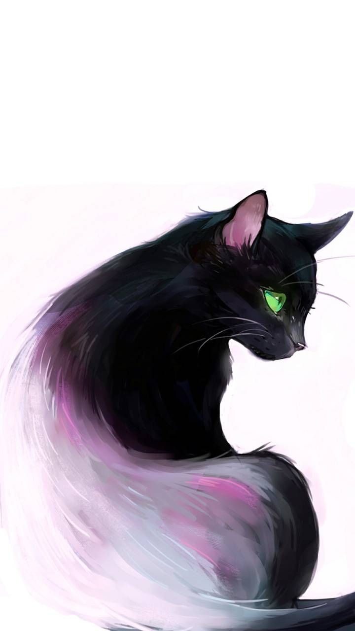 Download Cat Wallpaper by Zomka now. Browse millions of popular black Wallpaper and Rin. Warrior cats art, Black cat drawing, Black cat art