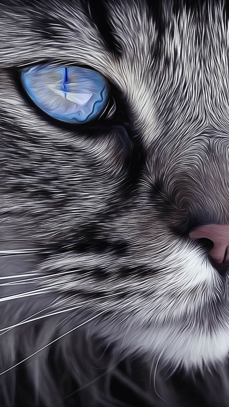 Animal Art. Cat portraits, Cat drawing, Cat wallpaper