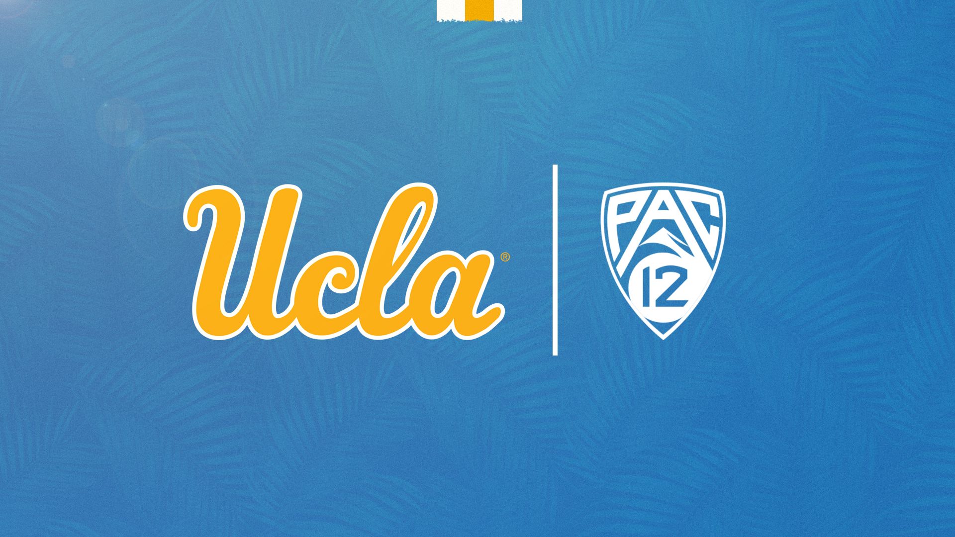 UCLA Basketball Wallpapers Wallpaper Cave