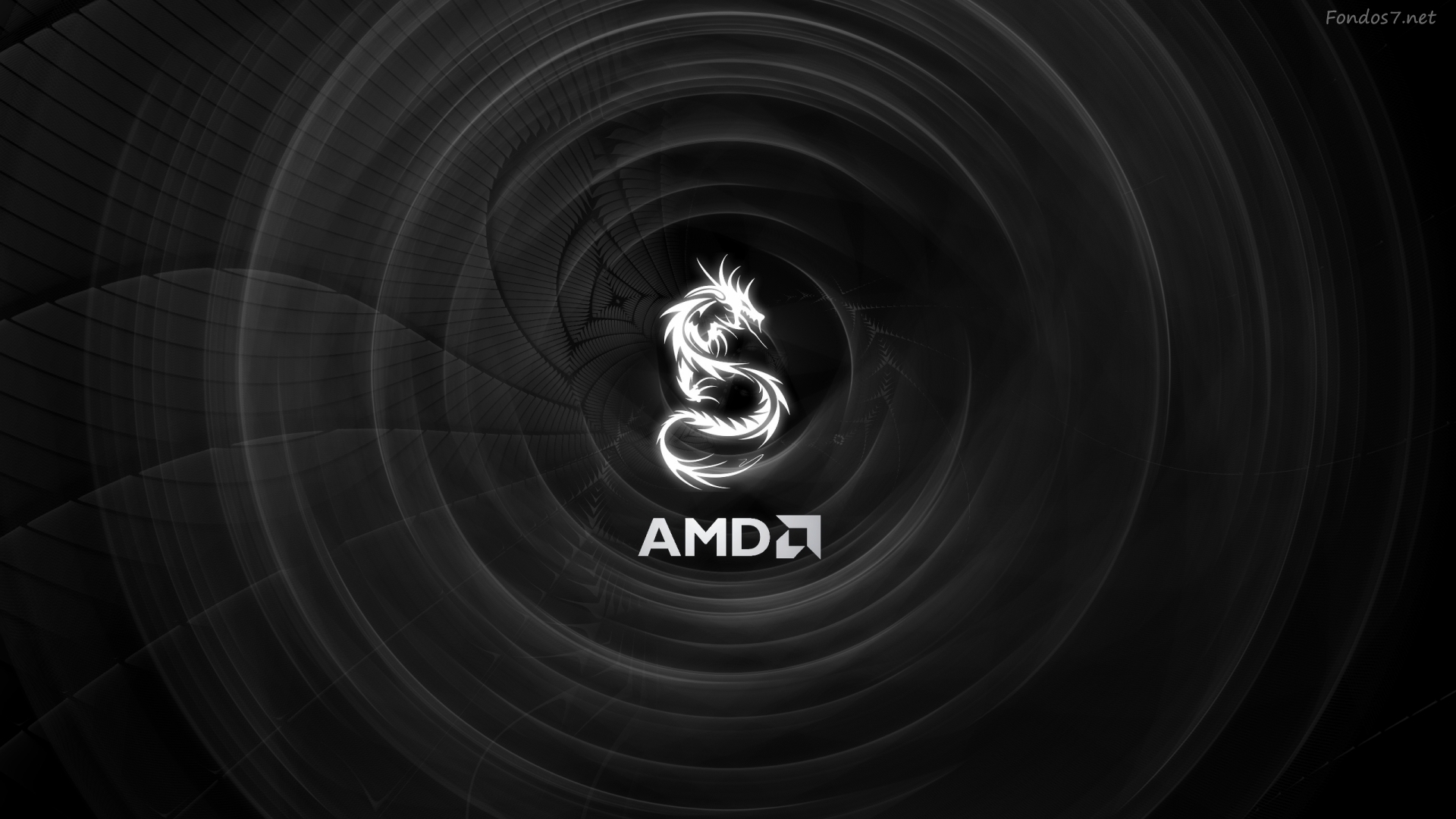 AMD Logo Wallpaper