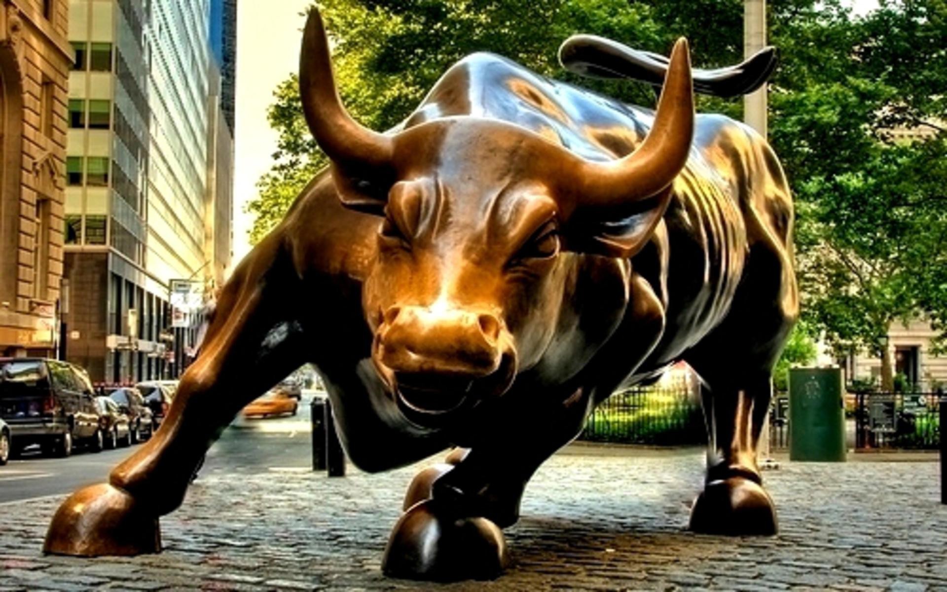 stock market bull background
