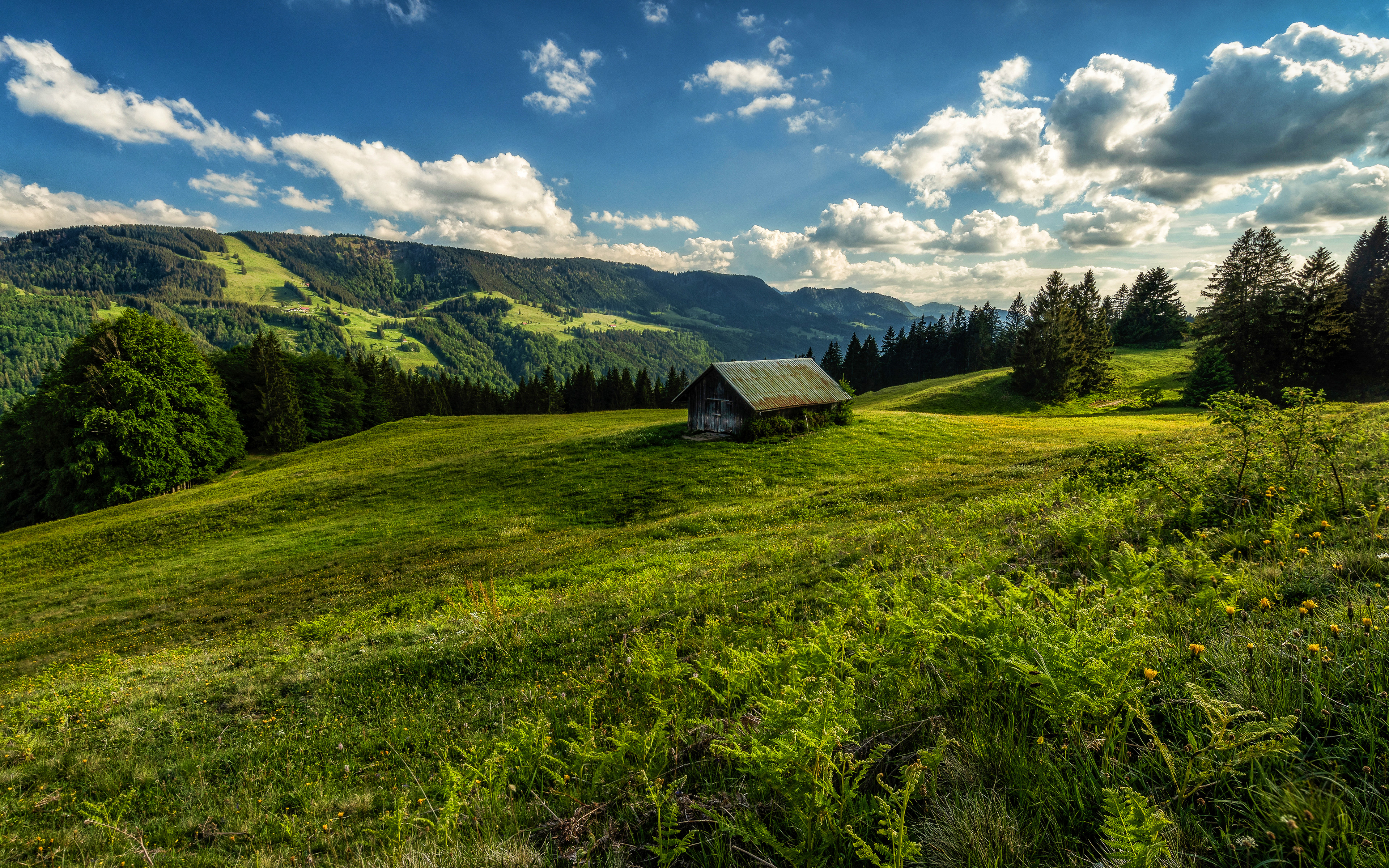 Download wallpaper Germany, 4k, summer, meadow, mountains, Bavaria, HDR, beautiful nature for desktop with resolution 3840x2400. High Quality HD picture wallpaper