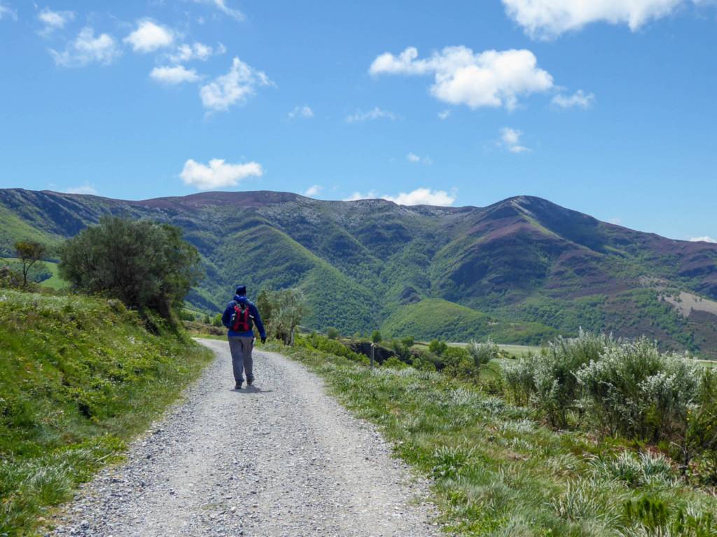 The Camino De Santiago In Picture Tours Self Guided Hiking Tours