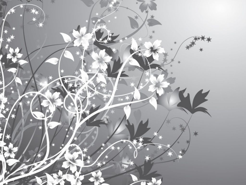 Gray Flower Wallpaper Free Gray Flower Background