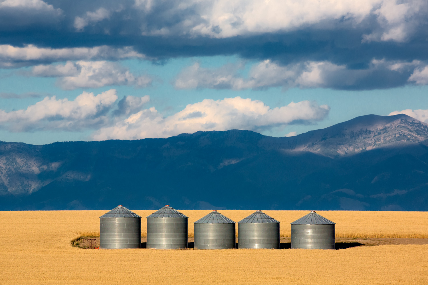 Agriculture and Commercial Photographer by Todd Klassy Photography Bins Photo Photo